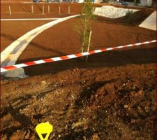 Vue du terrain  vers le bassin de r&eacute;tention