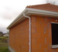 La descente des goutti&egrave;res