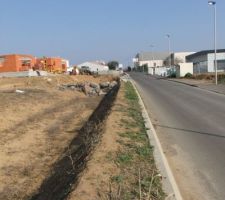 34 metres de mur de clotures que je vais attaquer en attendant de recevoir le permis pour la construction.