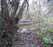 Et au bout coule une rivi&egrave;re ...