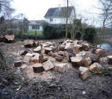 Chouchou adore sa tron&ccedil;onneuse !