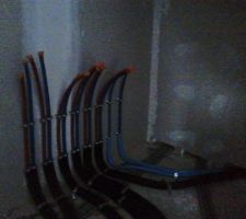 Déplacement des nourrisses