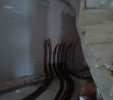 Déplacement des nourrisses