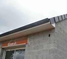 Arrière de la maison avec goutière de la bonne couleur