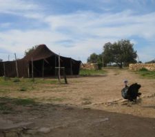 C&ocirc;t&eacute; entr&eacute;e de la ferme. installation d'une tente nomade de 6mx3m en poil de ch&egrave;vre;