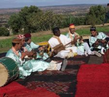 Vue sur le terrain (oliviers, arganiers, figuiers) troupe de la région d'essaouira GNAOUA tapis de la région de chichaoua