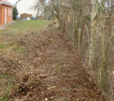 D&eacute;broussaillage terrain merci mon voisin qui me dit ( mon terrain il est entretenu ) oui oui avec des ronce de plus de 2cm de diametre