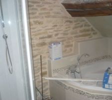 Baignoire et douche de la sdb