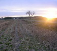 Le d&eacute;but, un champ.