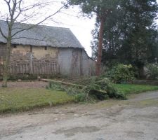 N'ayant pas déposer encore le permis de construire nous avons commencer par couper les sapins qui entourent la maison car l'ancien propriétaire en avait planter partout.