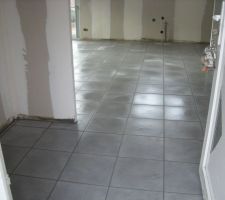 Carrelage juste pos&eacute;