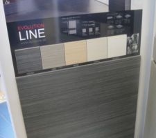 Carrelage de la cuisine/salon/sàm : le gris sera le gris claur (2ème en partant de la gauche)