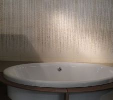 Une idée de notre salle de bain