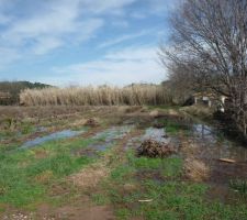 Voila dans quel &eacute;tat j'ai retrouv&eacute; le terrain apr&egrave;s 3 jours de pluie