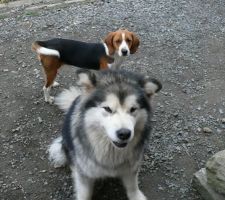 Les deux complices !!