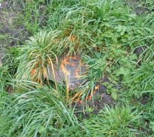 Tout &agrave; l'&eacute;gout