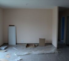 Mur du fond pour tv et vidéo hifi