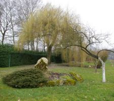 Vue sur la droite du terrain avec le saule pleureur assez grand lol et en dessous le petit bassin a combler