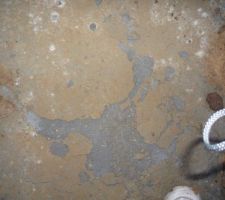 Dalle qui s'écaille