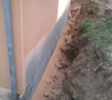 Voici le mur qui aura la terre decus