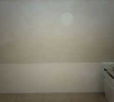 Mur Type Murofibre Blanc creme
Avec effet (spalter)
Sur la photos on ne voit pas trop les effets!