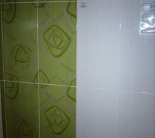 Choix du carrelage pour le WC