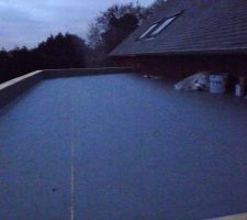 Vue du dessus de l'étanchéité rephanol