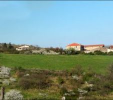 Vue d'en face du futur lotissement