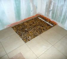 Receveur de douche, salle de bain du bas.