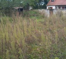 Pour l'instant c'est encore la brousse!