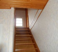 Escalier assez raide que me conseiller vous pour securiser sa ?