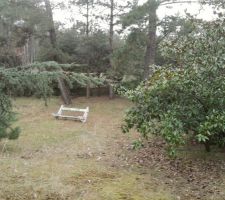 Un banc au milieu de nulle part