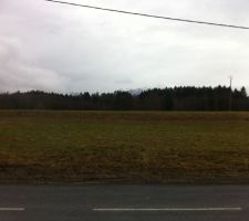 Voila le terrain, 1010m&sup2;, plat,le sud est en direction des arbres au fond