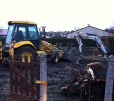 Destruction mur et cabane et enlevement souche des arbres et tuyas