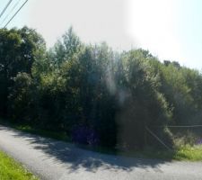 Le terrain avant le d&eacute;but du projet