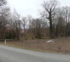 Le terrain sans les arbres !
