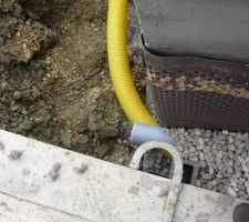 Sortie du drain