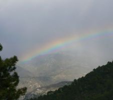 Une surprise dans la vallée !