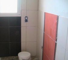 Faïence de la SDE du bas, je m'amuse !!!