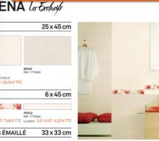 Salle de bain - choix de la fa&iuml;ence