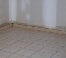 Vue des plinthes du cellier