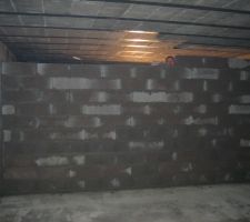 Mur buanderie presque termin&eacute;