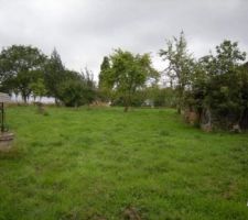 Autre vue du terrain (du fond cette fois)