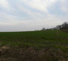 2 ème photo du terrain.
