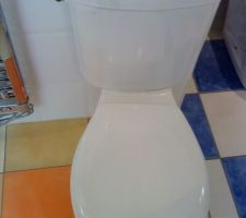 Cuvette  et réservoir WC Volta (Vill