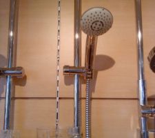 Combine douche Basicjet2 (Hansa)