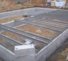 Vide sanitaire en cours...