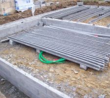 Vide sanitaire en cours...