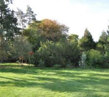 Terrain masqué par la végétation