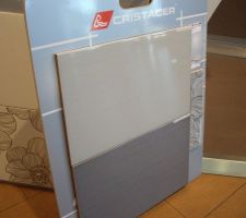 Carrelage eventuel (carreau du haut gros clair) pour mur de la SDB parentale